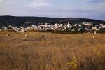 Ovce pred gradom (Gordan Topić Nia)