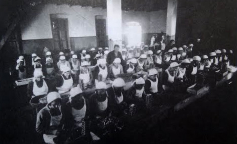 Tvornica sardina 1941.g.